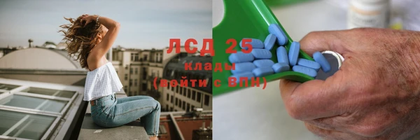 стафф Сосновый Бор