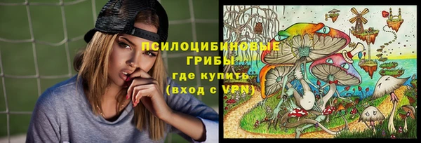 гидропоника Верея