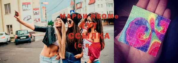 стафф Сосновый Бор